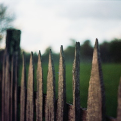 Fence